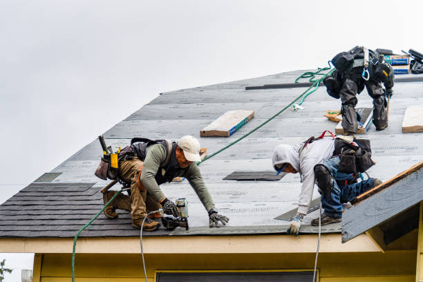 Professional Gutter Installation technician working in Nemours, WV
